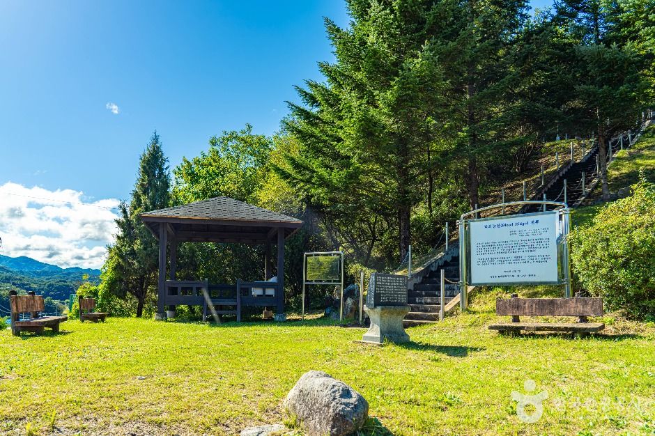 양구_피의능선전투전적비 (1)