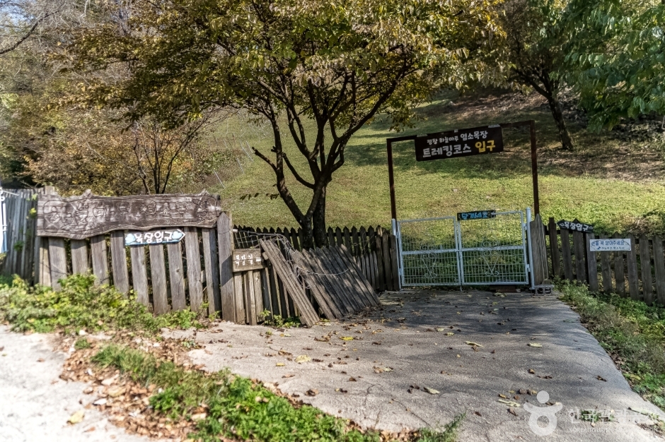 하늘마루염소목장 (4)