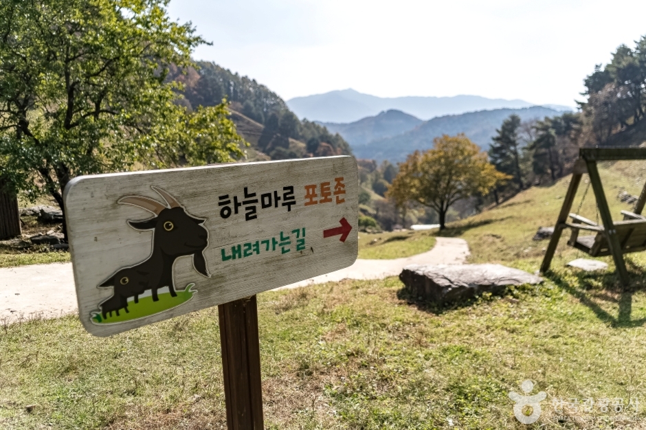 하늘마루염소목장 (7)