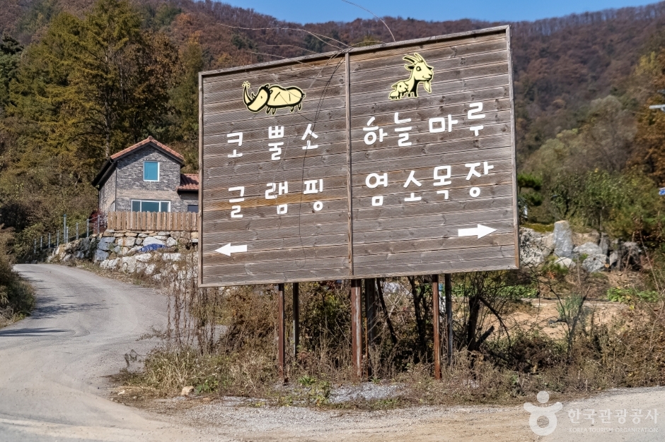 하늘마루염소목장 (17)