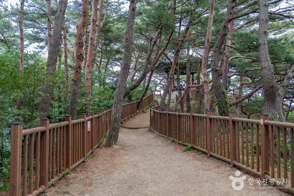 양양_하조대 (1)