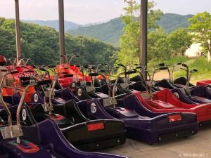 휘닉스 평창 루지랜드