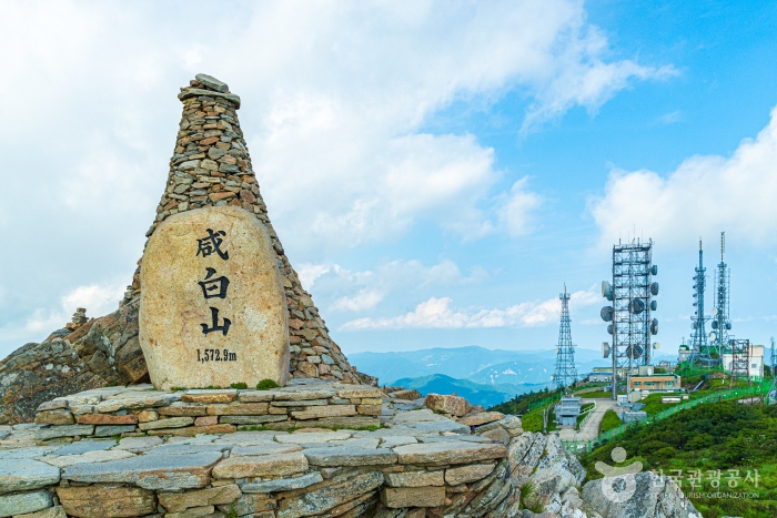 열대야는 없고 별은 있다! 