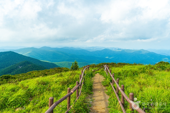 열대야는 없고 별은 있다! 