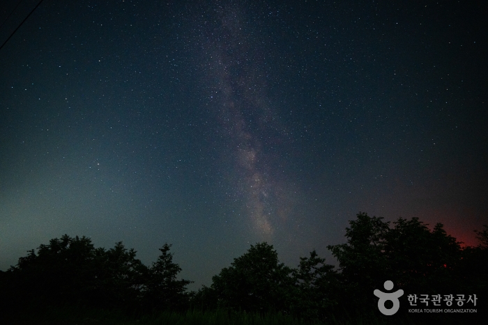 열대야는 없고 별은 있다! 
