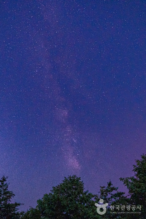 열대야는 없고 별은 있다! 