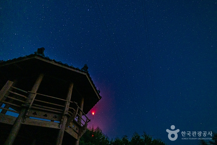 열대야는 없고 별은 있다! 