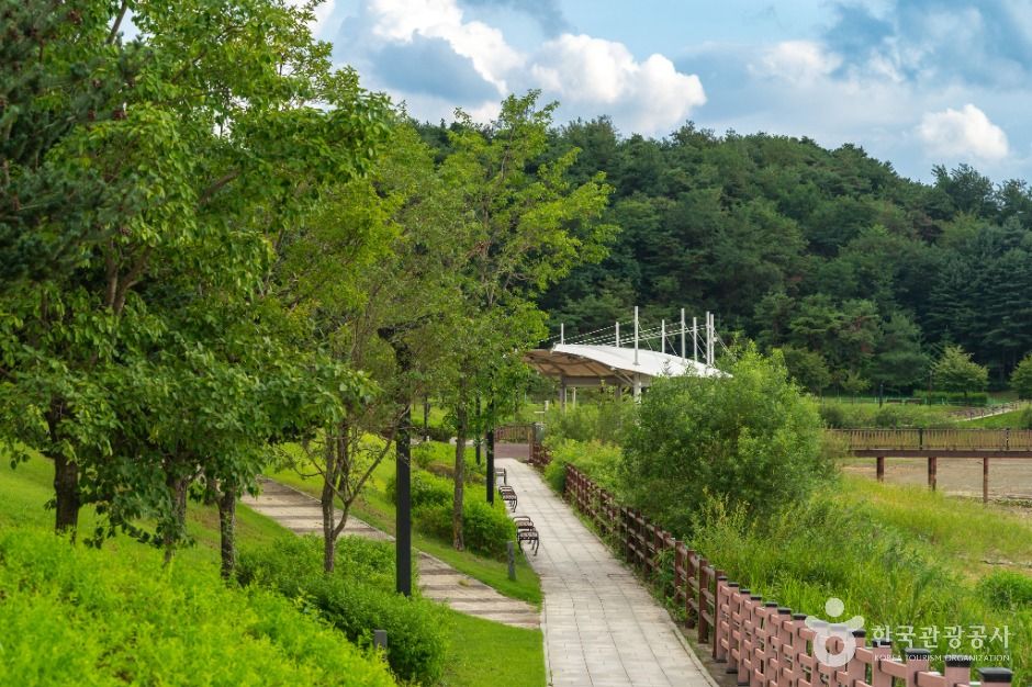 원주_행구수변공원 (1)