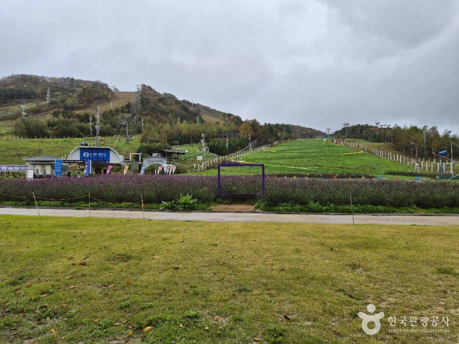 평창_홀리데이인 알펜시아 평창 리조트 (7)