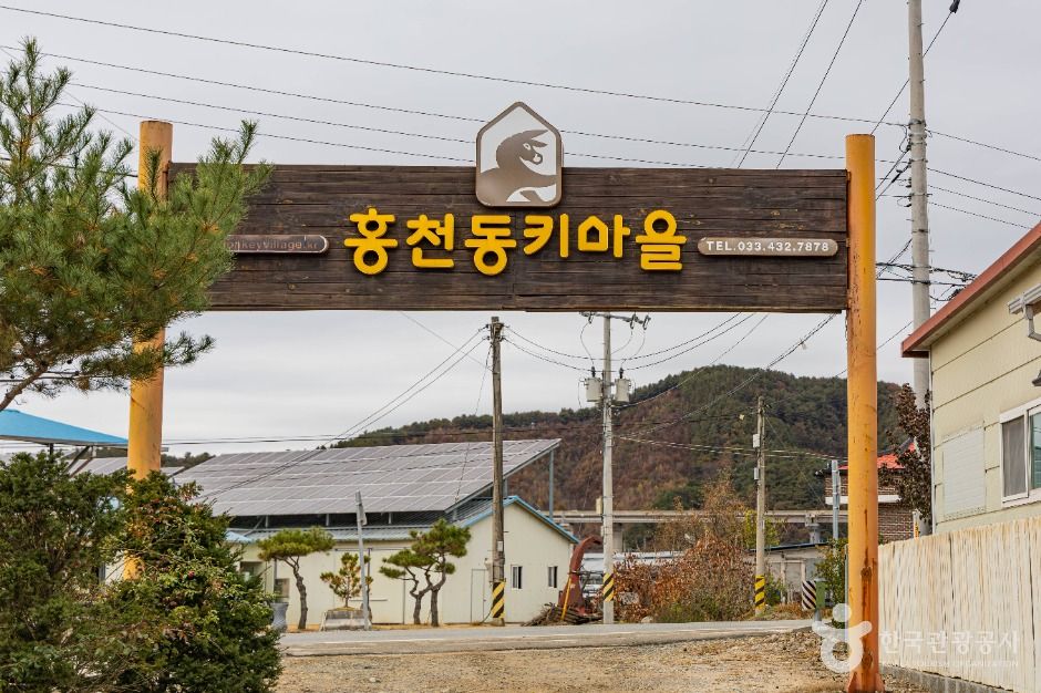 홍천_홍천동키마을 (1)