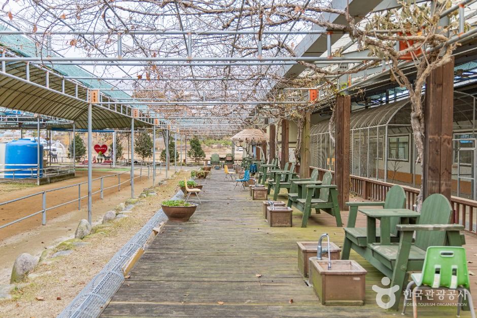 홍천_홍천동키마을 (4)