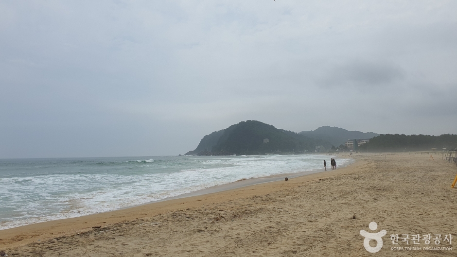 화진포해수욕장 (17)