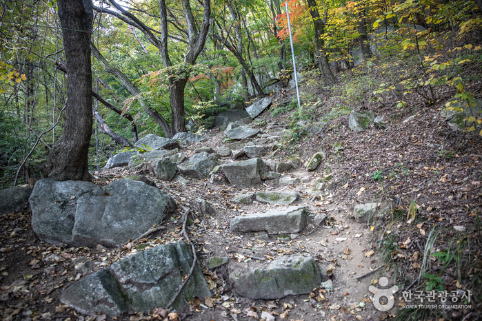 강원_원주_황산사07