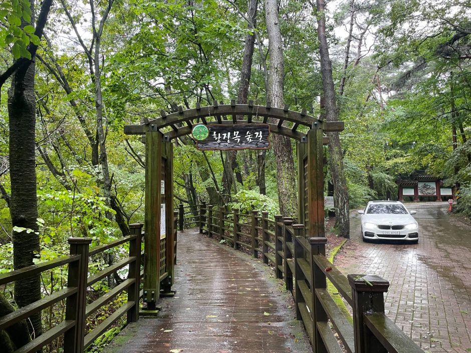 황장목숲길_표지판