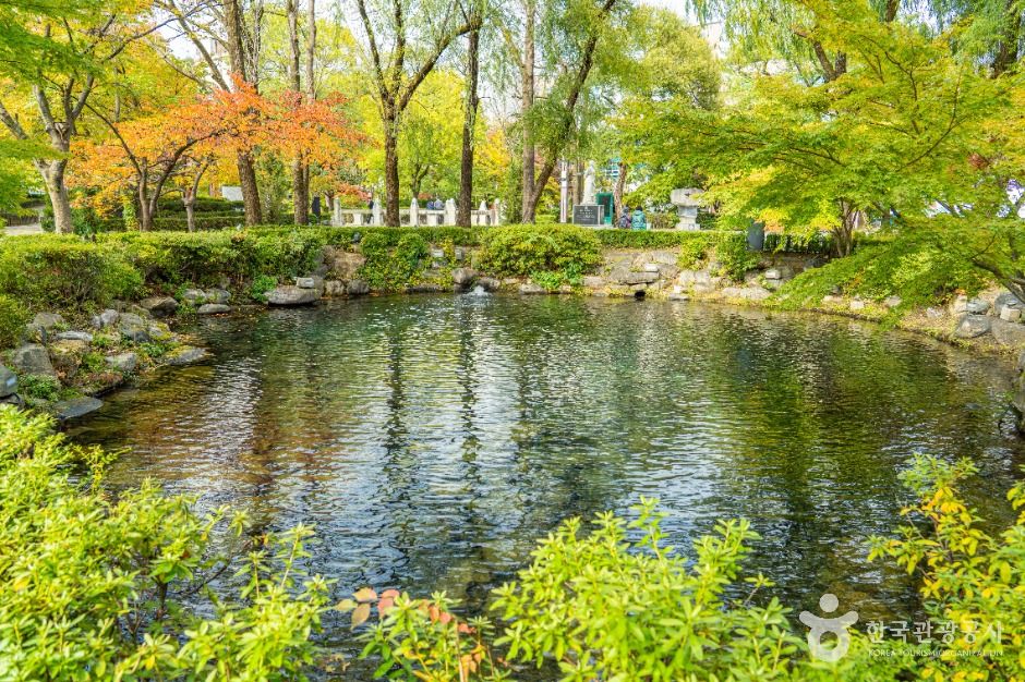 태백_황지연못 (9)