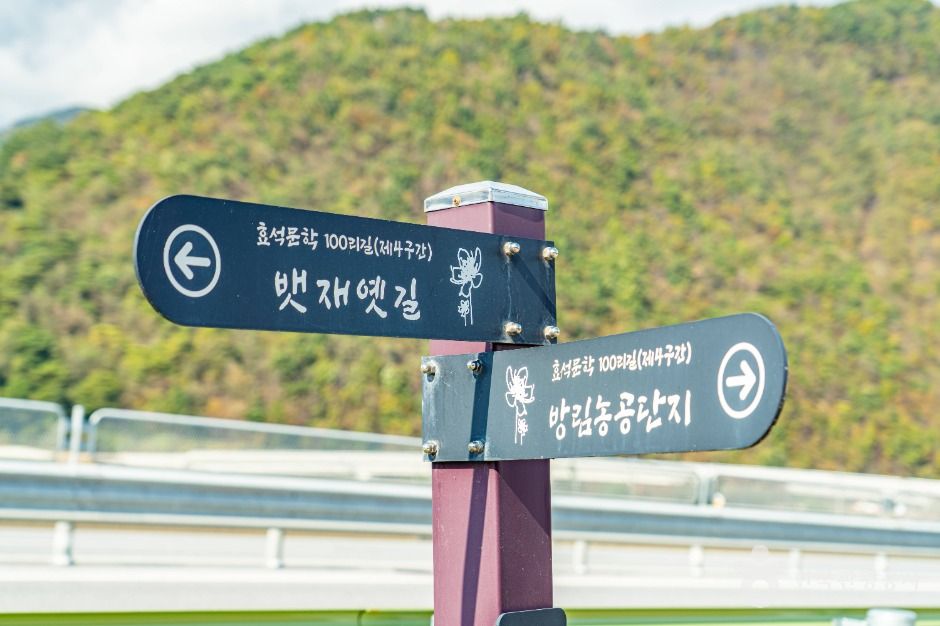 평창_옛길따라 평창강 가는 길 (4)