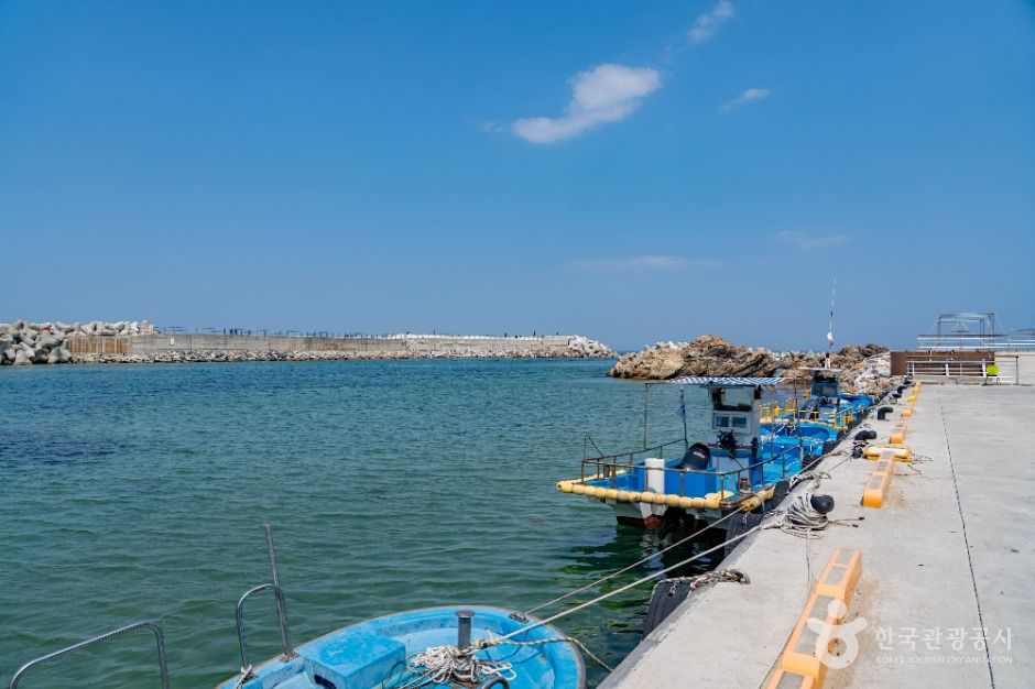 삼척_후진항 (3)