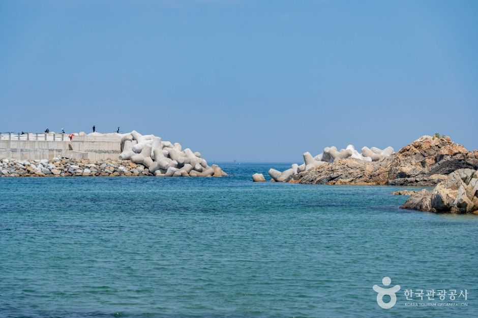 삼척_후진항 (4)