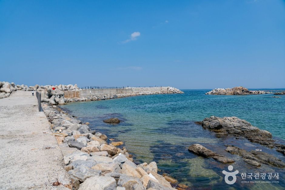 삼척_후진항 (5)