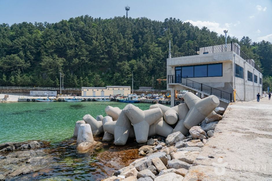 삼척_후진항 (6)