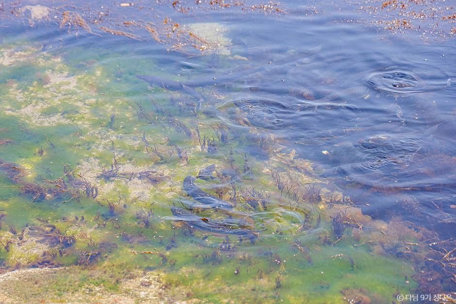 5월 연휴 강원도 양양 가볼 만한 곳_휴휴암_1-5