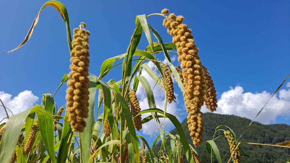 가평_가평 아홉마지기마을 (4)