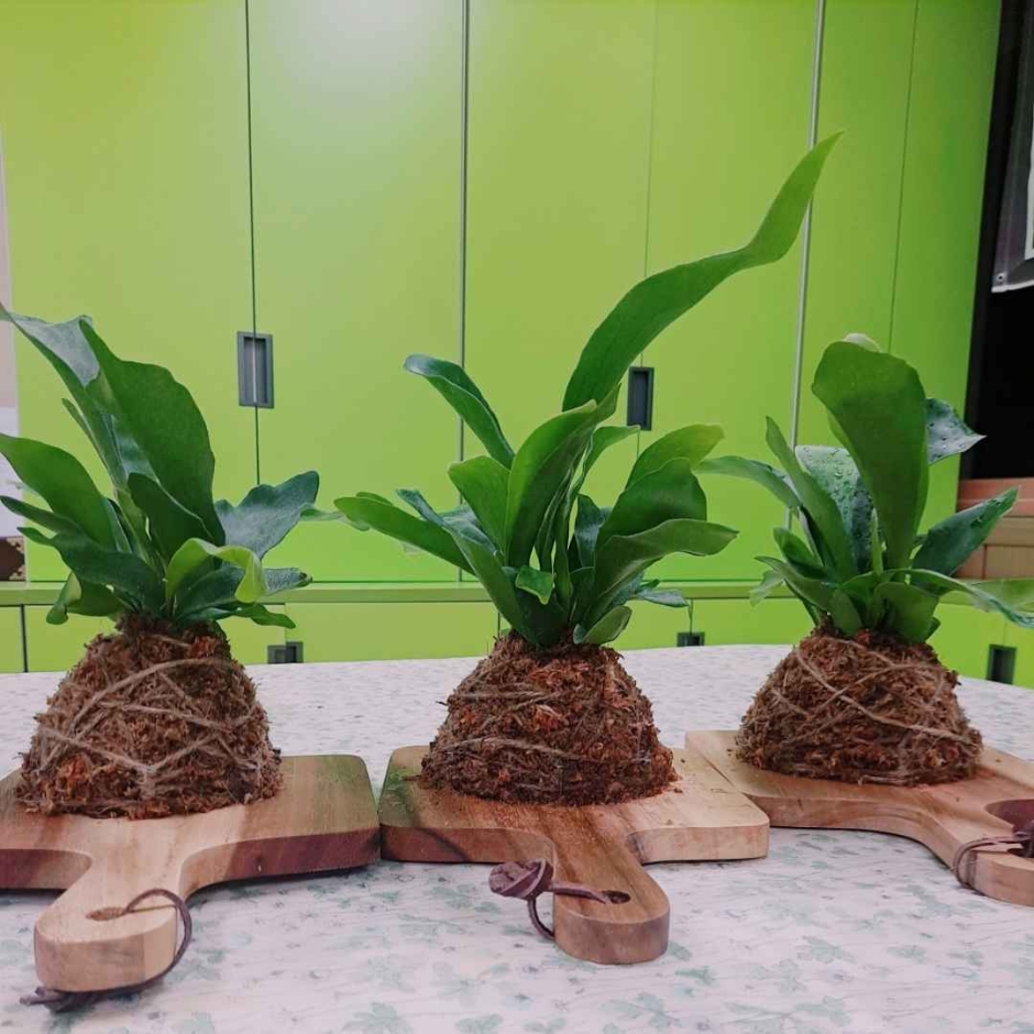 가평_가평 아홉마지기마을 (5)