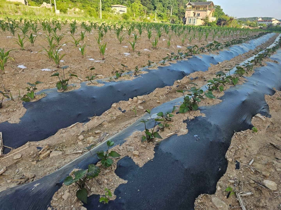 가평_가평 아홉마지기마을 (13)