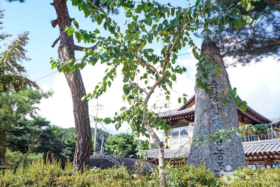 경기_가평_가평 영양잣마을 (4)