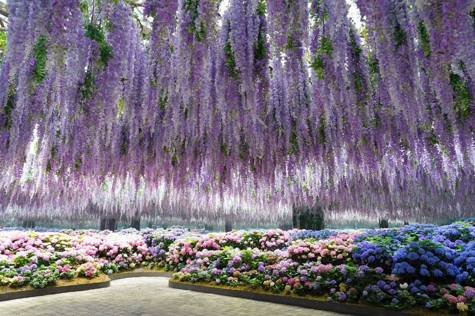 가평_가평베고니아새정원 (2)