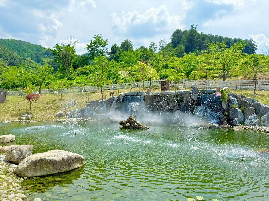 가평_가평베고니아새정원 (4)