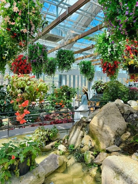 가평_가평베고니아새정원 (9)