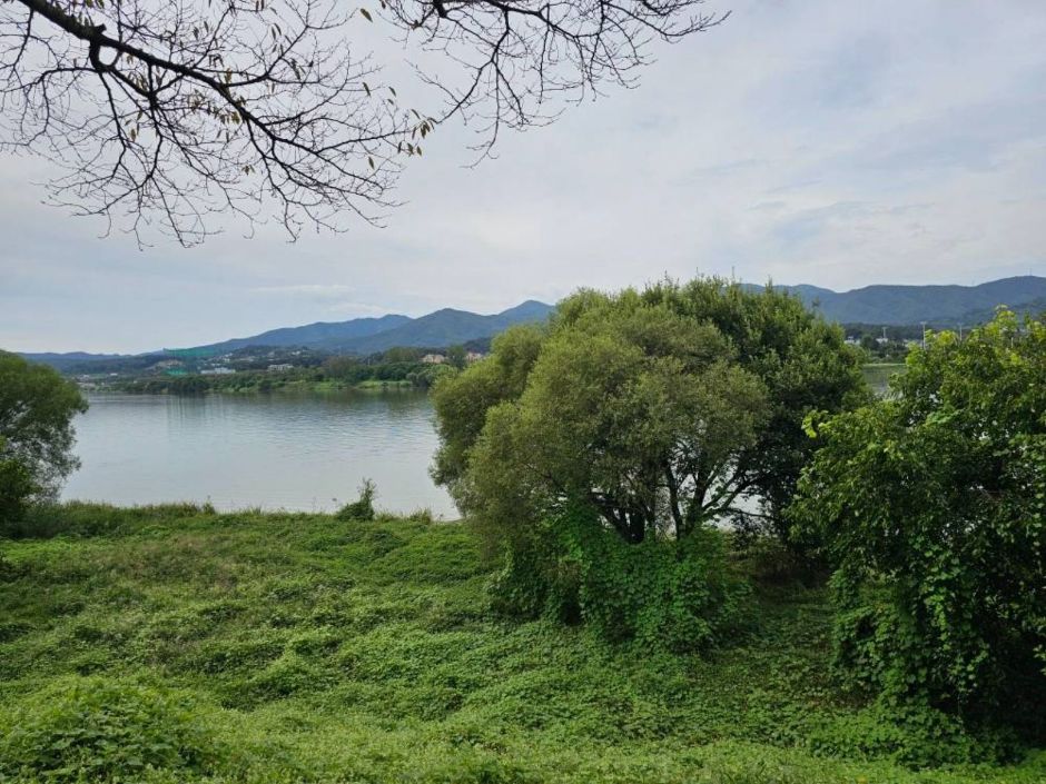 갈산공원_산책로5