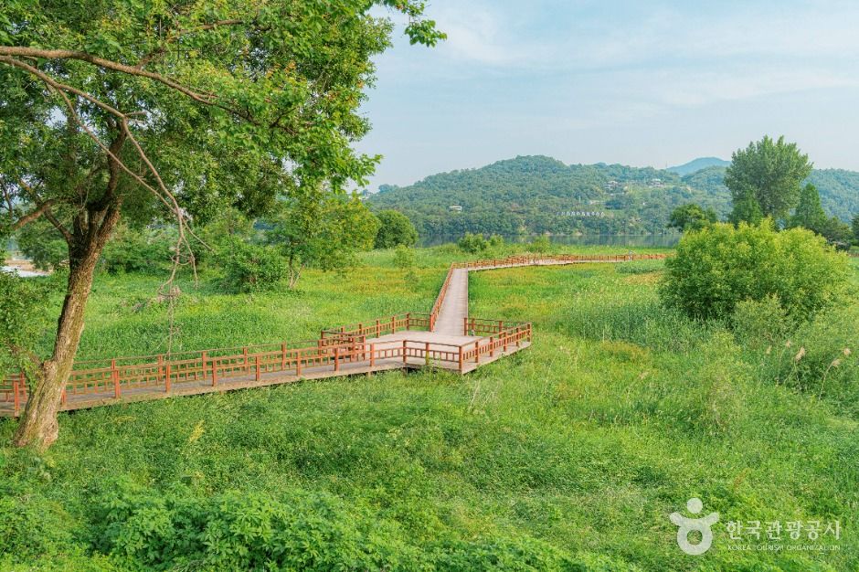 양평_강하수변공원 (2)