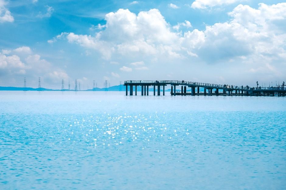 시흥_거북섬 (5)