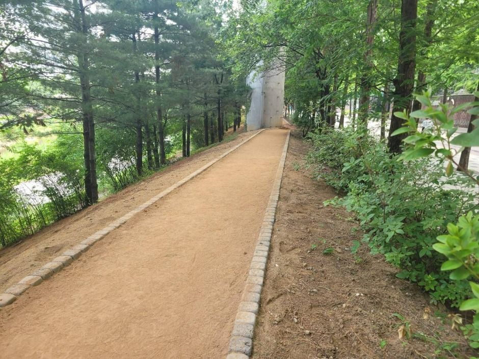 의정부_경기도청북부청사역 하부 맨발황톳길 (5)