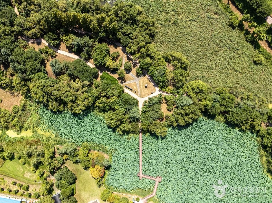 경기광주_경안천 습지생태공원 (1)