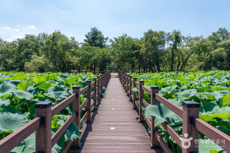 경기광주_경안천 습지생태공원 (2)