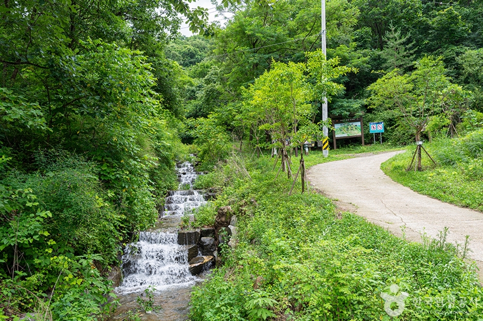고대산자연휴양림 (8)