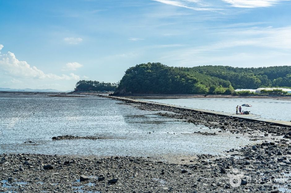 안산_고래뿌리선착장 (4)
