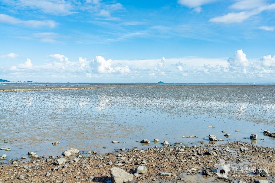 안산_고래뿌리선착장 (7)