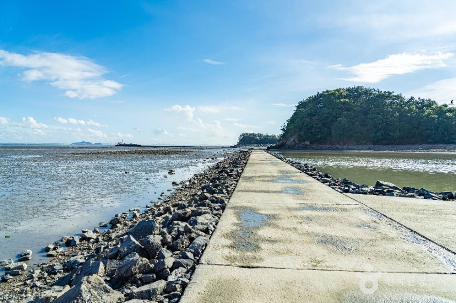 안산_고래뿌리선착장 (8)