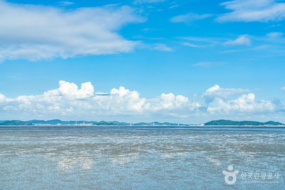 안산_고래뿌리선착장 (5)