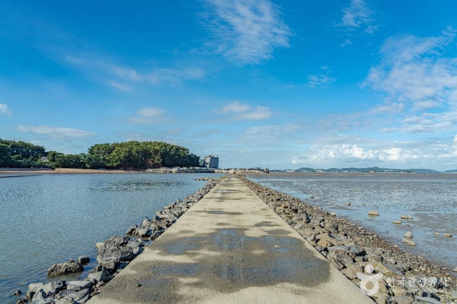 안산_고래뿌리선착장 (9)