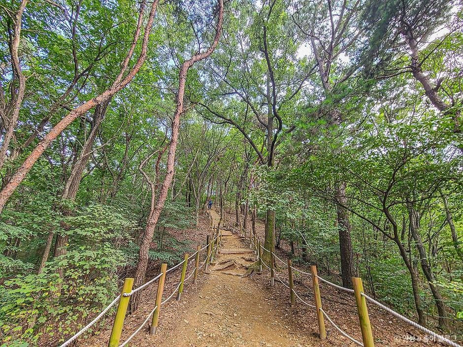 안성_고성산 (2)