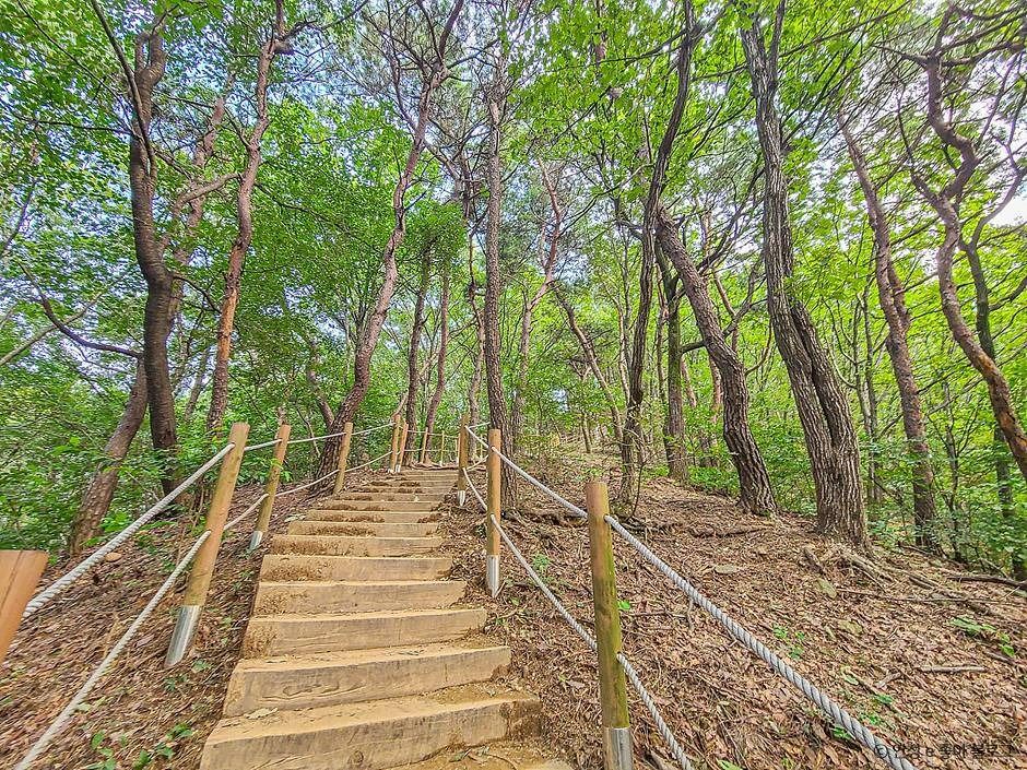 안성_고성산 (3)