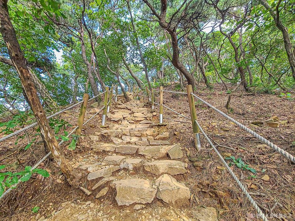 안성_고성산 (6)