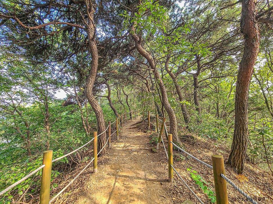 안성_고성산 (7)