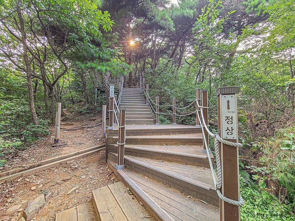 안성_고성산 (8)