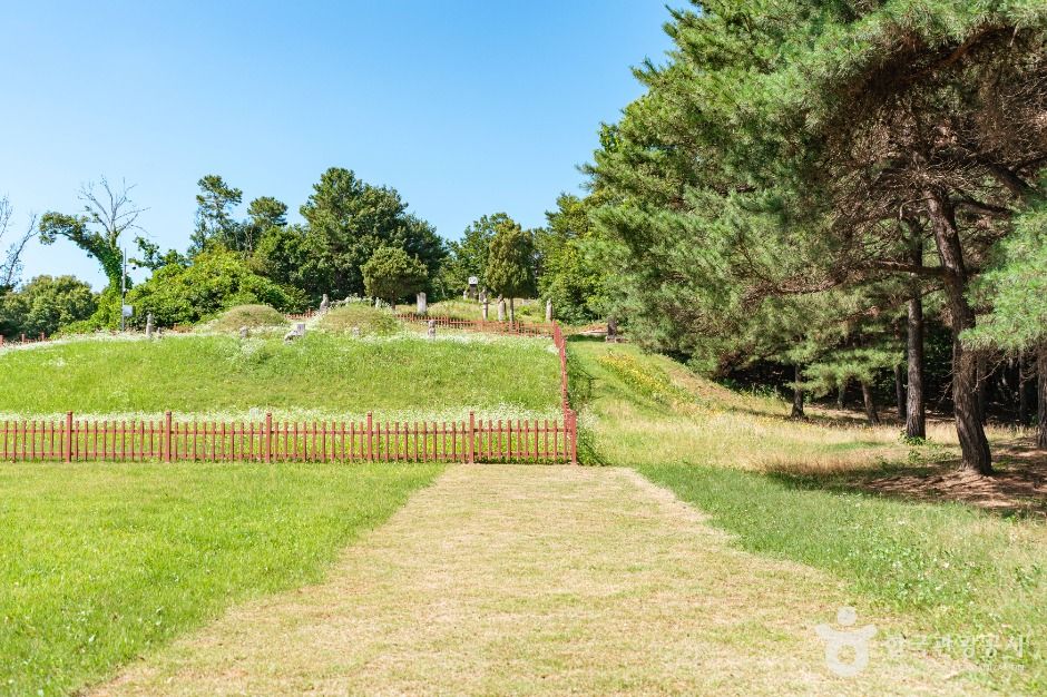 고양_고려 공양왕릉 (1)